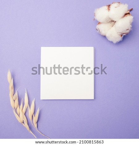 Blank white greeting card with dry herbs on violet background. Toned photo. Top view. Mock up
