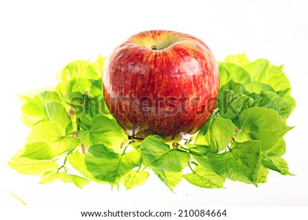 red apple on green leaves