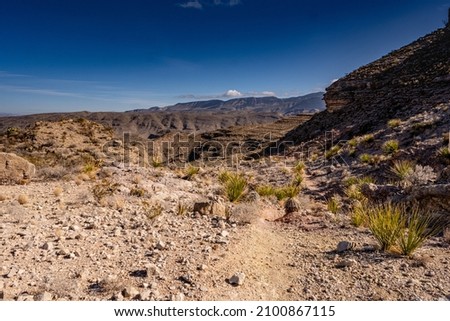 Marufo Vega Trail Heading Toward the Mexican Border in Big Bend National Park Royalty-Free Stock Photo #2100867115