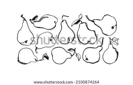 Pears in sketch freehand style collection. Hand drawn doodle pears. Set of grunge clip art for trendy modern summer design. Vector ink illustration, charcoal drawing. Black linear fruits on white 