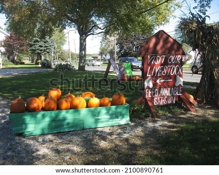 Farm stand sign with livestock and pumpkins