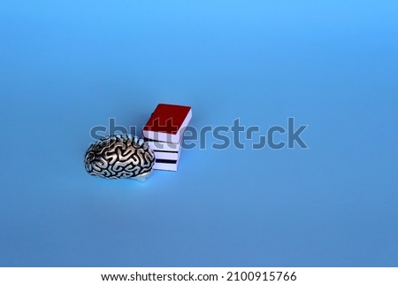 Education and knowledge concept. Brain model and pile of books on blue background with copy space.