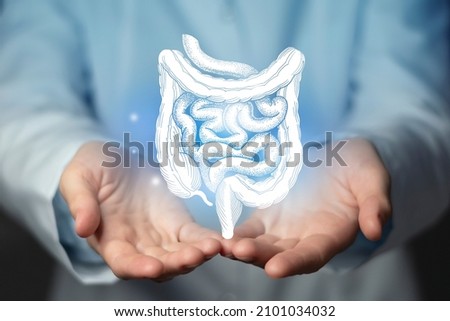 Intestine issues medical concept. Photo of female doctor, empty space.  Royalty-Free Stock Photo #2101034032