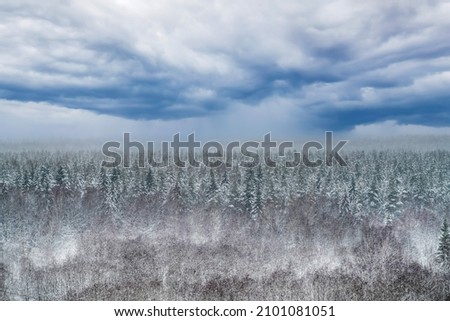 Winter taiga forest under snow, coniferous spruce, blue clouds, top view. Panoramic aerial view. Bright winter landscape.
 Royalty-Free Stock Photo #2101081051