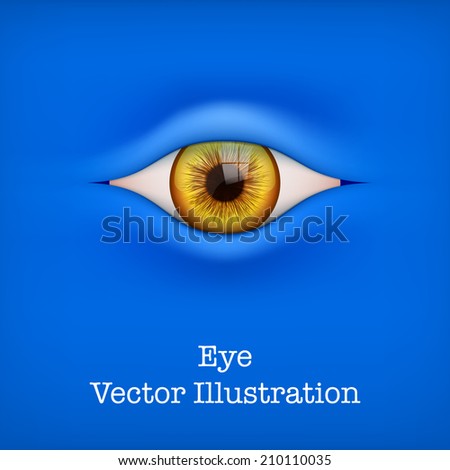 Blue Background with brown human eye. Vector Illustration isolated on white background.