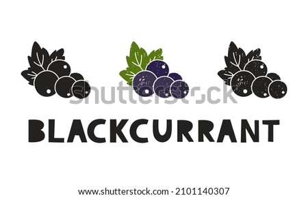Blackcurrant, silhouette icons set with lettering. Imitation of stamp, print with scuffs. Simple black shape and color vector illustration. Hand drawn isolated elements on white background Royalty-Free Stock Photo #2101140307