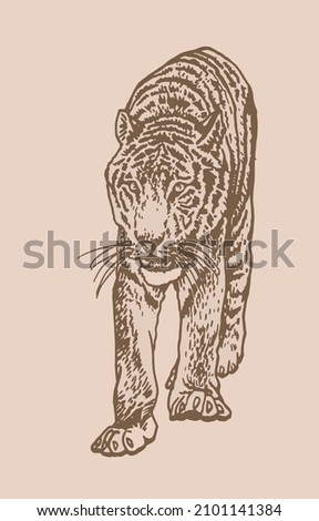 Graphical vintage stripy tiger, sepia background, African vector animal