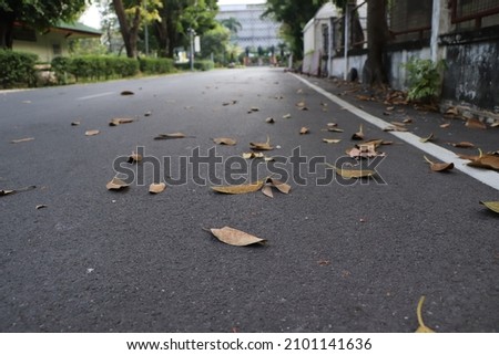 Dead leaves fall on the street in the first Autumn. Nature background 