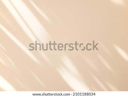 Natural window brown tan color shadow overlay on clean minimal light white background. Royalty-Free Stock Photo #2101188034