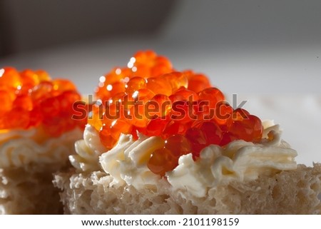 Red chum salmon caviar appetizer, traditional festive Russian food