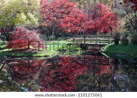 Fall leaves reflected in water