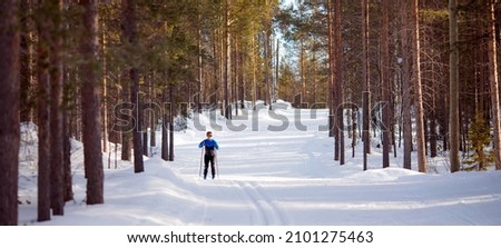Winter sport banner, male skier is racing cross-country skiing, sunlight sunset. Royalty-Free Stock Photo #2101275463
