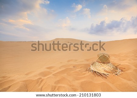White sand dunes in Mui Ne,Vietnam 