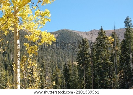 Mt Humphreys Flagstaff Arizona Fall Colores Royalty-Free Stock Photo #2101339561