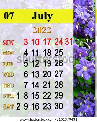 July 2022 Calendar for organizer to plan and reminder on nature background. calendar for July 2022 with image of with beautiful flowers of clematis. Monthly calendar