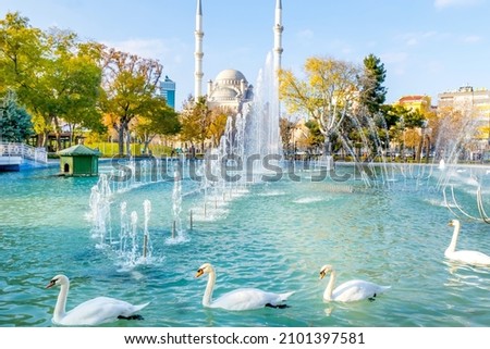Four white swans swims in blue lake with fountains and mosque inthe background. Travel in Konya concept Royalty-Free Stock Photo #2101397581