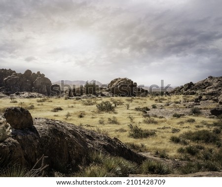 A natural view at the famous Texas desert plains under a gloomy sky Royalty-Free Stock Photo #2101428709