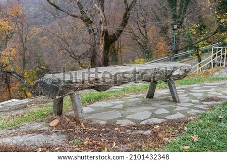 Old wooden bench in the forest. natural background