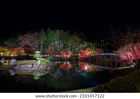 Illuminated autumn leaves at Shuzenji Nijinosato, Izu City, Shizuoka Prefecture Royalty-Free Stock Photo #2101457122