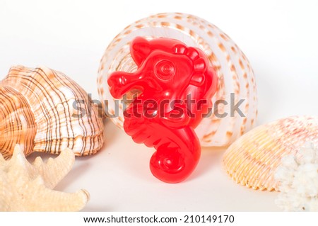 beach toys and seashells on white background