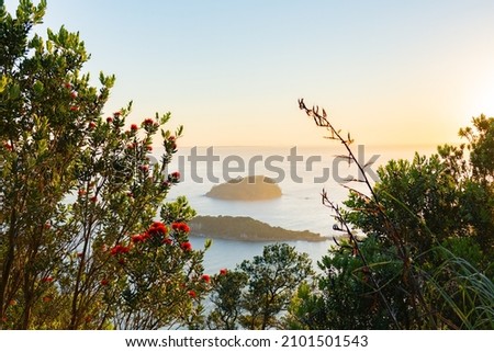 View from walking track up Mount Maunganui through pohutukawa trees to off-shore islands and horizon. Royalty-Free Stock Photo #2101501543
