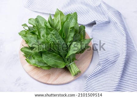 A bunch of fresh sorrel leaves on a light background with a napkin. Healthy greens for a healthy diet. Vitamins in natural products. Royalty-Free Stock Photo #2101509514