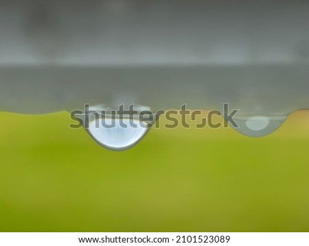 drop of water overhanging with green in the background