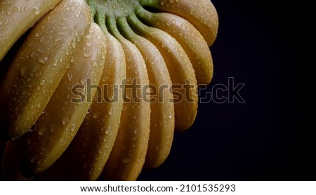 Juicy ripe bananas with drops of water on the peel on a black background. Royalty-Free Stock Photo #2101535293