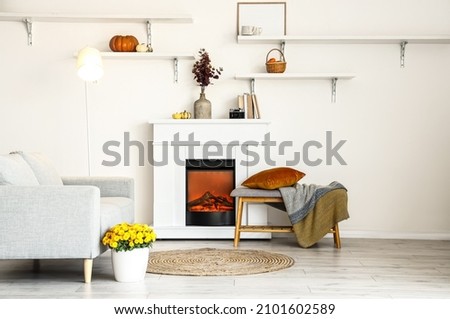 Modern fireplace with eucalyptus, books and photo camera in interior of light room