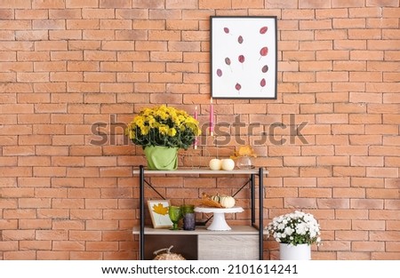 Beautiful Chrysanthemum flowers and shelves with decor elements near brick wall