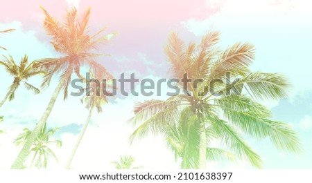 Summer theme of Abstracr with  palm trees background  as texture frame image background