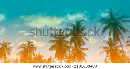 Summer theme of Abstracr with palm trees background as texture frame image background