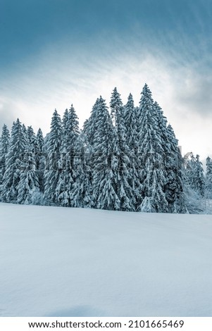 winter landscape in the allgäu alps
