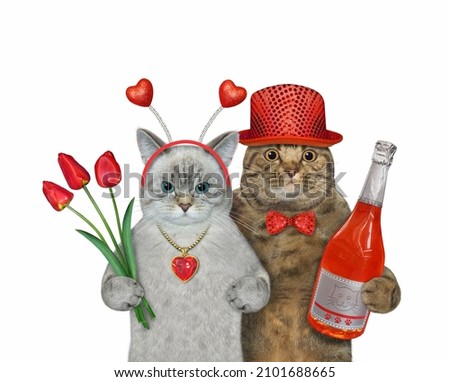 Two cats in love are near with a bouquet of red tulips and a bottle of champagne. White background. Isolated.