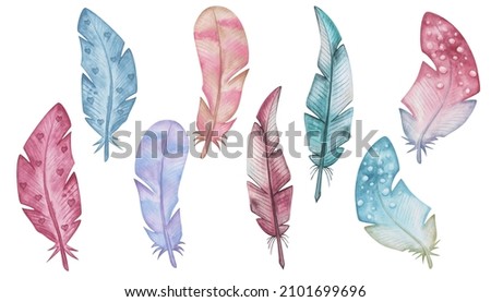 Watercolor illustration of hand painted pink, blue, brown bird's feathers from wings with hearts, stripes, dots. Isolated on white design clip art elements in boho style for love cards, pattern making