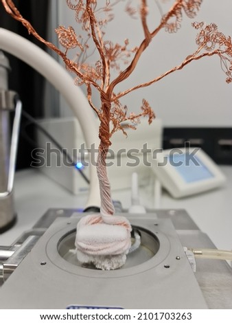 Frozen copper tree in cold mist in the lab with an only partial focus on some branches
