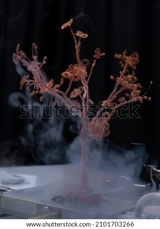 Frozen copper tree in cold mist in the lab with an only partial focus on some branches