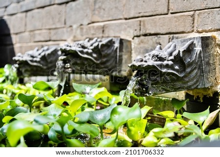 Dragon Statue water outlet in the garden.