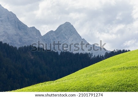 Lines of nature. Landscape in the Italian Dolomites