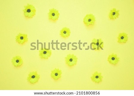 Green Daisies Laid On Green Surface