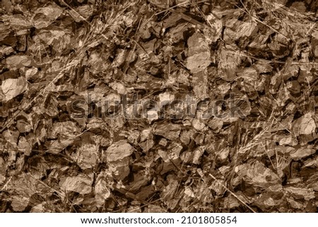 Abstract grunge brown background texture