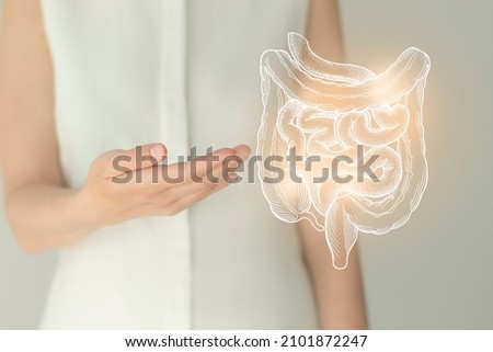 Unrecognizable female patient in white clothes, highlighted handrawn intestine in hands. Human digestive system issues concept. Royalty-Free Stock Photo #2101872247