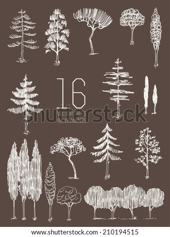 Vector set of sixteen different tree ink pen drawings | Vintage trees drawings collection, milk white on light brown