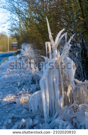 Low Freezing Temperature form large icicles in hedgerows and ice sculptures by the roadside on A120 in Bishops Stortford Hertfordshire