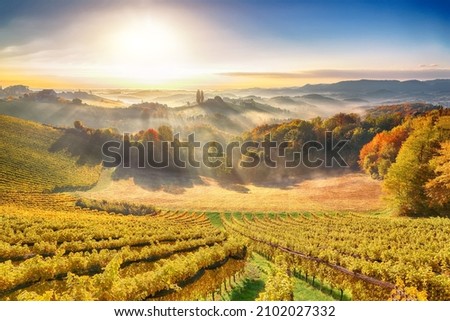 Fabulous vineyards landscape in South Styria near Gamlitz. Autumn scene of grape hills in popular travell destination Eckberg. Location: Gamlitz, district of Leibnitz in Styria, Austria. Europe. Royalty-Free Stock Photo #2102027332