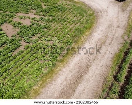 A beautiful shot of a agricultural path on gravel between two runs