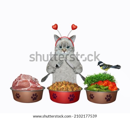 An ashen cat is near three bowls of food. The first with meat, the second with dry food and the third with vegetables. White background. Isolated.