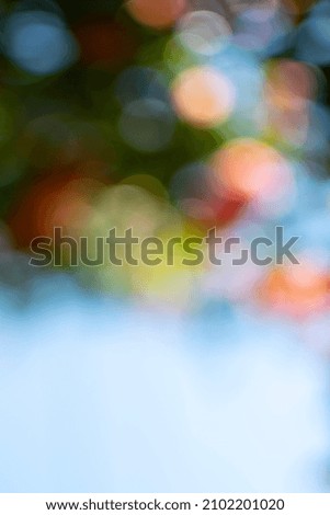 beautiful multicolor bokeh with blurred lights and blue space for text