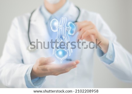 Female doctor holding virtual Bladder and Kidneys in hand. Handrawn human organ, Blurred photo, raw colors. Healthcare hospital service concept stock photo Royalty-Free Stock Photo #2102208958