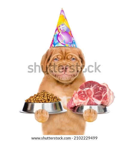 Smiling Mastiff puppy wearing a party cap holds bowls with dry dog food and raw meat. isolated on white background